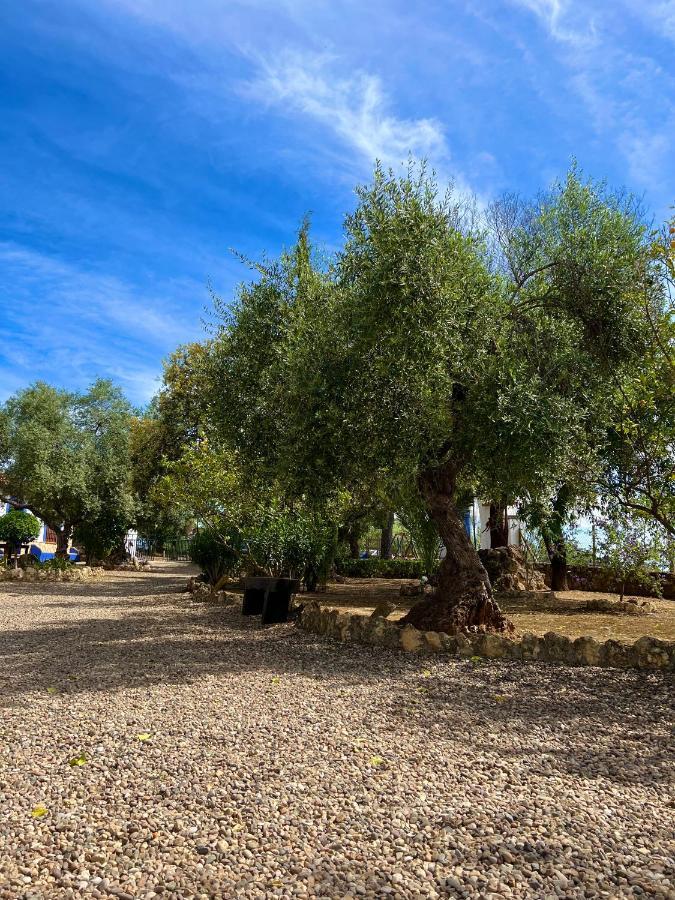 オルナチュエロス Complejo Rural Mirador De La Alcaidiaヴィラ エクステリア 写真