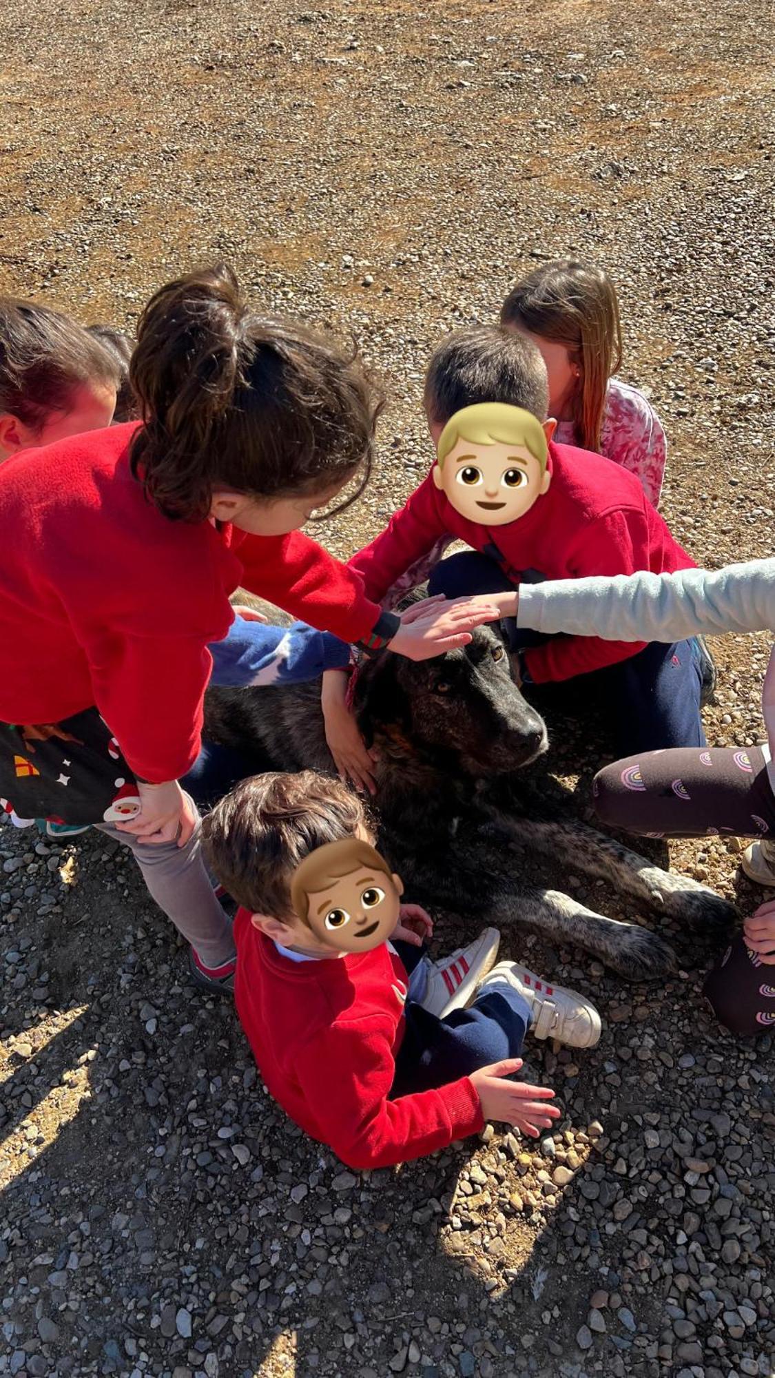 オルナチュエロス Complejo Rural Mirador De La Alcaidiaヴィラ エクステリア 写真